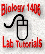Biology I Lab Help