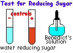 Macromolecule Testing Tutorial