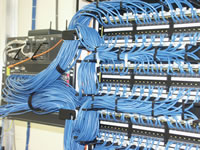 Network